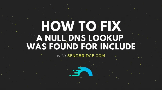 A Null DNS Lookup Was Found For Include