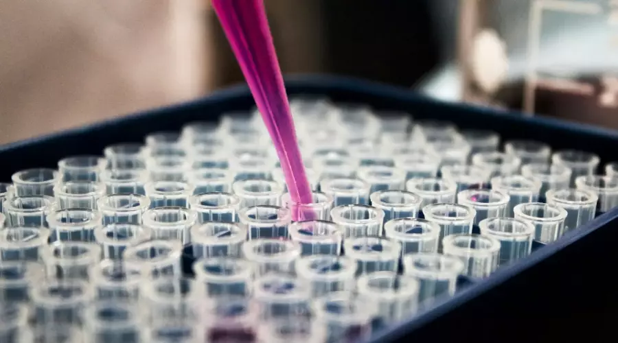 Why Accuracy And Speed Matter Most In Microplate Reader Performance